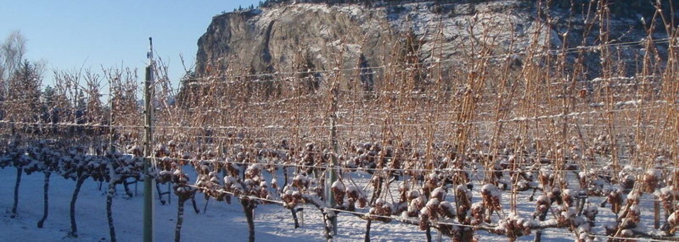Winter Winery Hours 2019