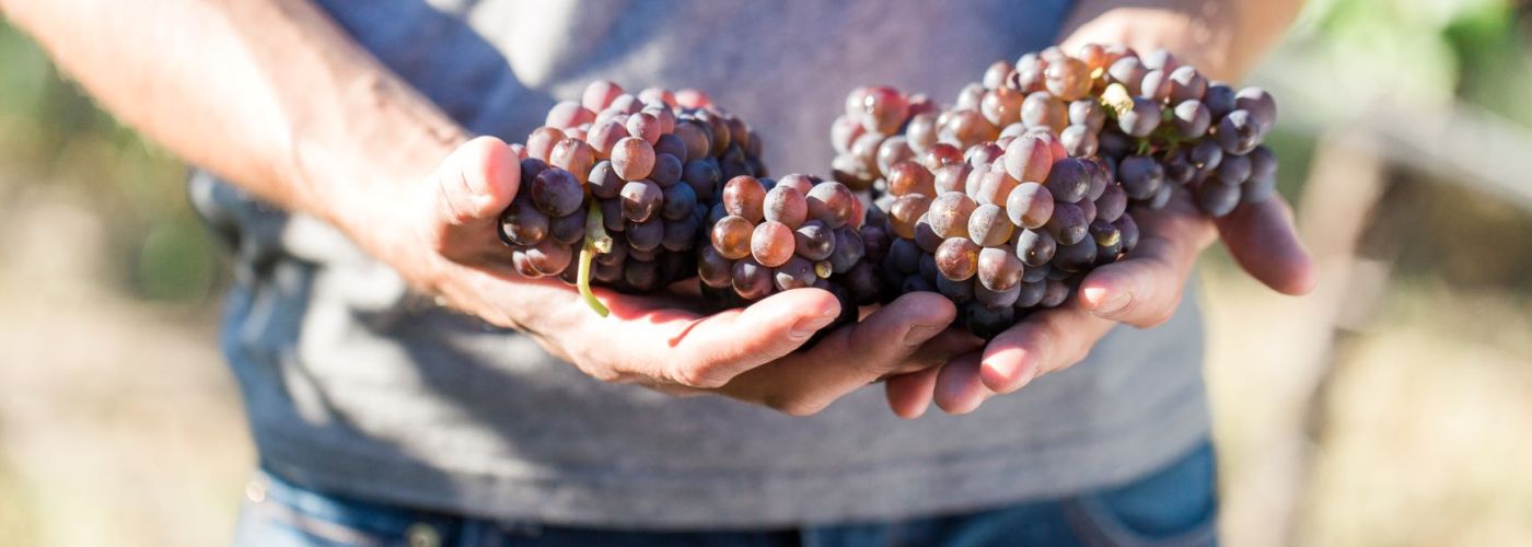 fall wine festival weekend in osoyoos