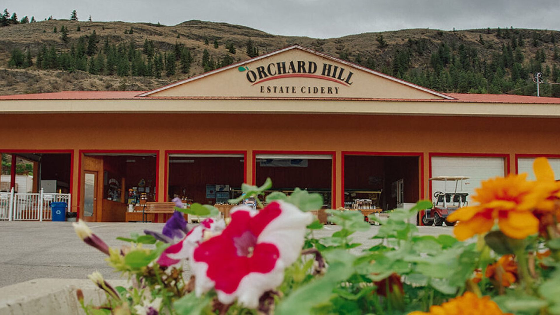 orchard hill estate cidery beverages
